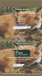Mobile Screenshot of foxprohistory.org